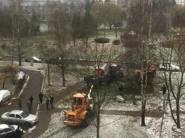 В Минске пожарники спилили «Эйфелеву башню», выкрашенную в цвета БКБ флага