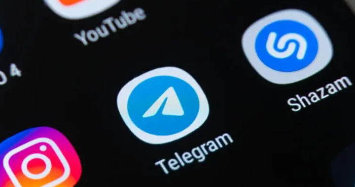 Новый глава МВД Германии предложила ужесточить регулирование Telegram из-за призывов к насилию