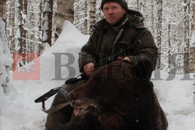 «Заболел». Расстрелявший спящего медведя чиновник из Перми экстренно госпитализирован