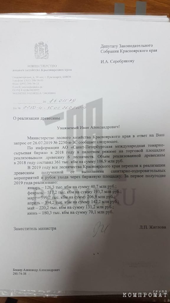 Распродажа красноярского леса: губернатор хвастает, прокурор лжет, миллиарды уходят