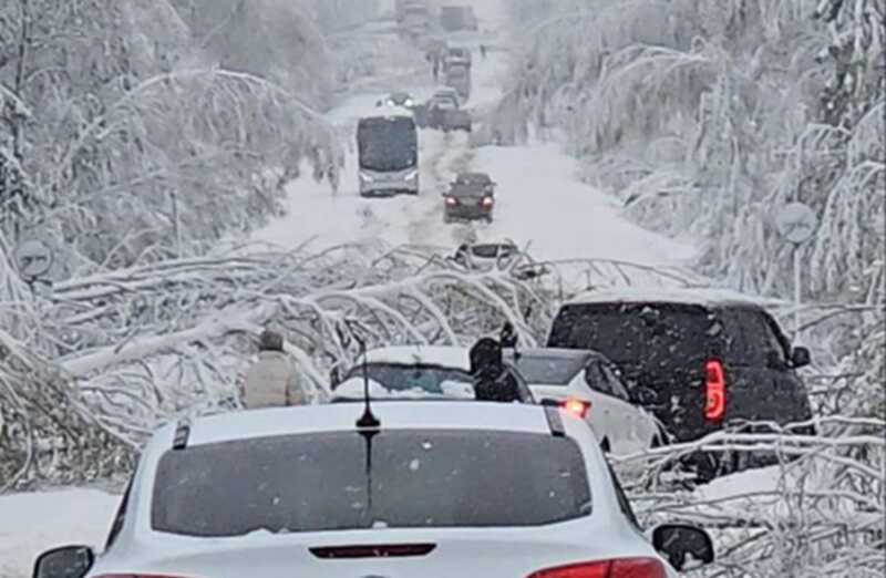 Жители Московской области остались без электричества и связи из-за майского циклона